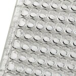 Immuno 透明标准板