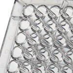 Immuno 透明平底非无菌 96 孔板