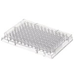 Immuno 透明平底非无菌 96 孔板