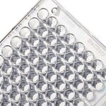 Immuno 透明平底非无菌 96 孔板