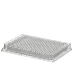 Immuno 透明平底 384 孔板（未灭菌）