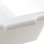 Nalgene&trade; HDPE 盘