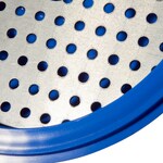 Nalgene&trade; 可高压灭菌聚丙烯干燥器：蓝色主体，带透明聚碳酸酯盖