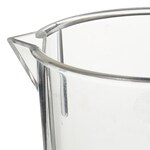 Nalgene&trade; PMP Griffin Low-Form Plastic Beakers
