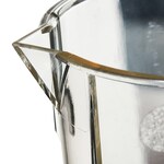 Nalgene&trade; PMP Griffin 低型塑料烧杯