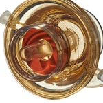 Nalgene&trade; 可重复使用的瓶顶过滤器