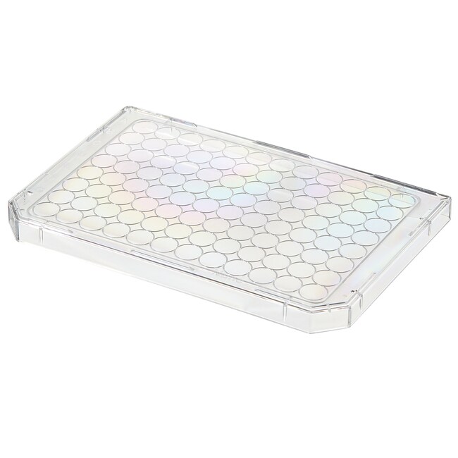 Nunc&trade; Microplate Lids