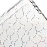 Nunc&trade; Microplate Lids