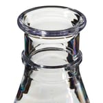Nalgene&trade; Polycarbonate Erlenmeyer Flasks