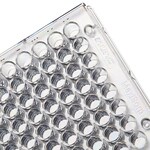 Immuno 透明平底非无菌 96 孔板