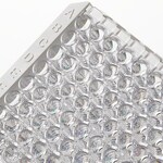 Immuno 透明标准板