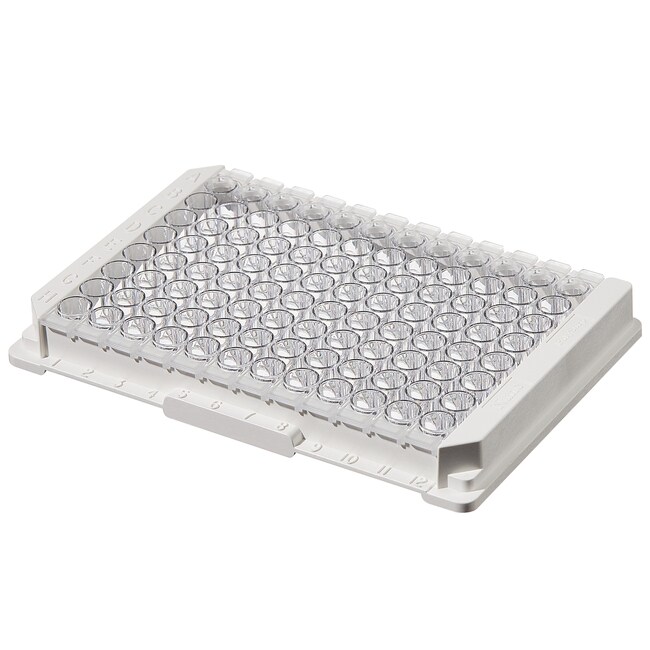 Immuno Clear Standard Modules