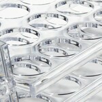 Nalgene&trade; 聚碳酸酯通用型试管架