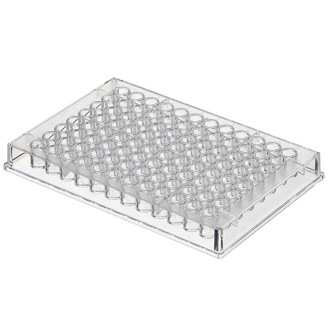 Immuno 透明平底非无菌 96 孔板