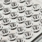 Nunc&trade; MicroWell&trade; MiniTrays