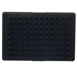 Immuno 黑色 96 孔板