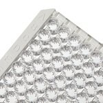 Immuno 透明标准板