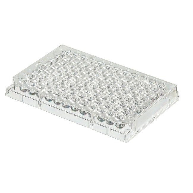 Clear Round-Bottom Immuno Nonsterile 96-Well Plates