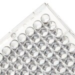 Immuno 透明平底非无菌 96 孔板