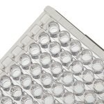 Immuno 透明标准板