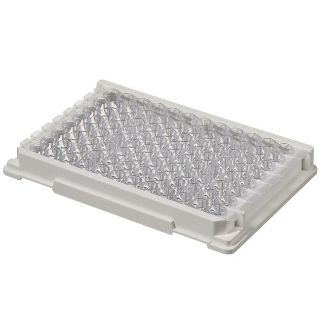 Immuno 透明标准板