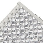 Immuno 透明标准板