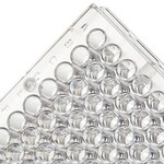 Immuno 透明平底非无菌 96 孔板