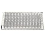 Immuno 透明标准板