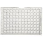 Immuno 透明标准板