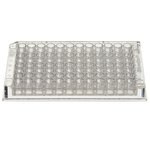 Immuno 透明标准板