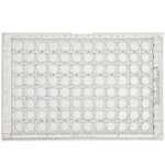 Immuno 透明标准板