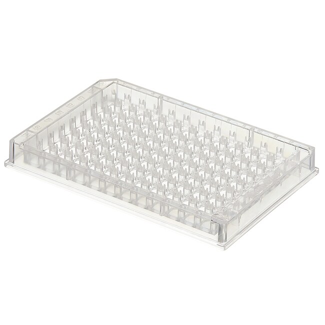 Immuno 标准模块框架和盖，Immulon，1 x 12 框架