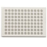 白色 96 孔 Immuno 板