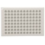 白色 96 孔 Immuno 板