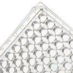 Immuno 透明平底非无菌 96 孔板