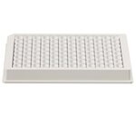 White 96-Well Immuno Plates