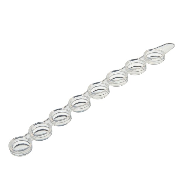 Frames and Caps for Immuno Standard Modules