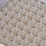 Matrix&trade; 空白和字母数字储存管