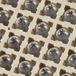 Matrix&trade; 空白和字母数字储存管