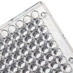 Immuno 透明平底非无菌 96 孔板