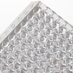 Immuno 透明标准板