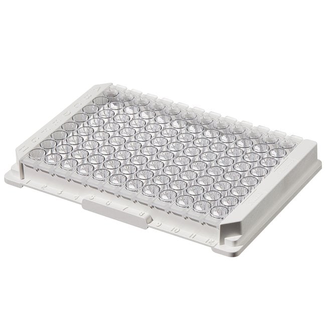 带亲和结合表面的板和模块