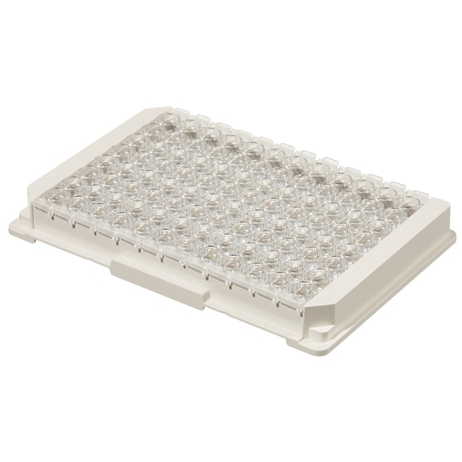 Immuno 可拆分透明模块，C8 LockWell，MediSorp