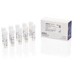 TaqMan&trade; SARS-CoV-2 对照品稀释缓冲液