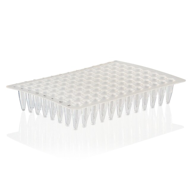 PCR 板，96 孔，无裙边，黑色印字