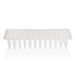 PCR 板，96 孔，无裙边，黑色印字