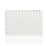 PCR 板，96 孔，无裙边，黑色印字