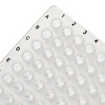 PCR 板，96 孔，无裙边，黑色印字