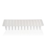 PCR Plate, 96-well, low profile, non-skirted