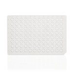 PCR Plate, 96-well, low profile, non-skirted
